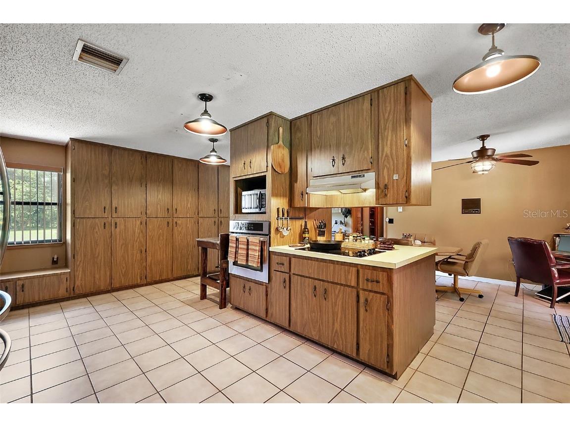 672 E Belt Avenue Bushnell FL 33513 G5098130 image18