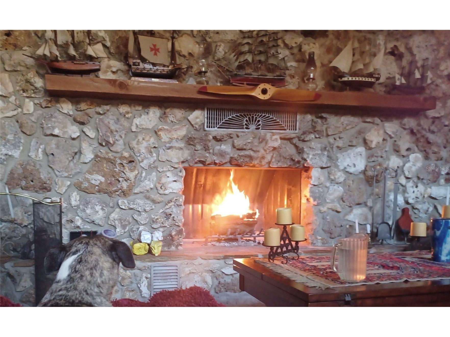 672 E Belt Avenue Bushnell FL 33513 G5098130 image41