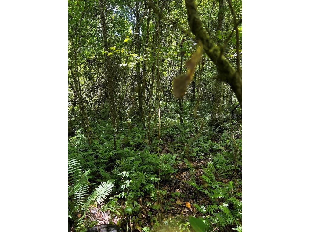 672 Hwy 672 Lithia FL 33547 U8183572 image1