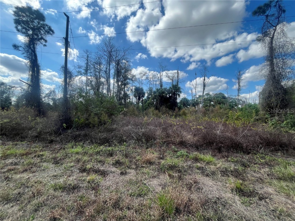 672 Stanwin Loop Lehigh Acres FL 33972 OK224889 image1