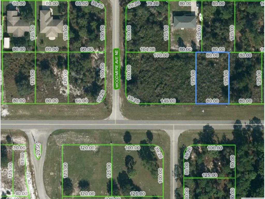 672 Washington Boulevard NE Lake Placid FL 33852 L4935912 image1