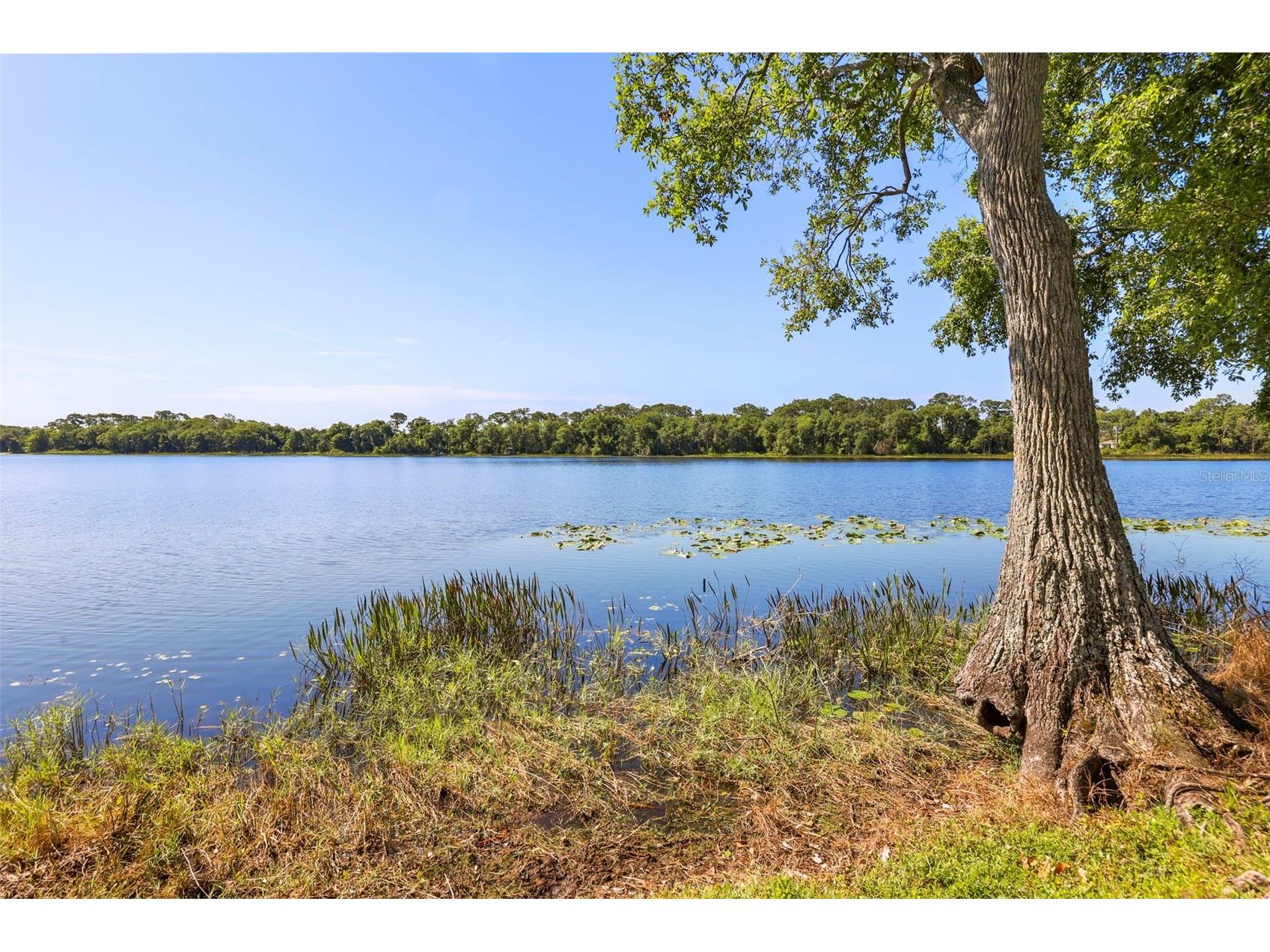 6720 Bay Shore Drive Saint Cloud FL 34771 O6420408 image31