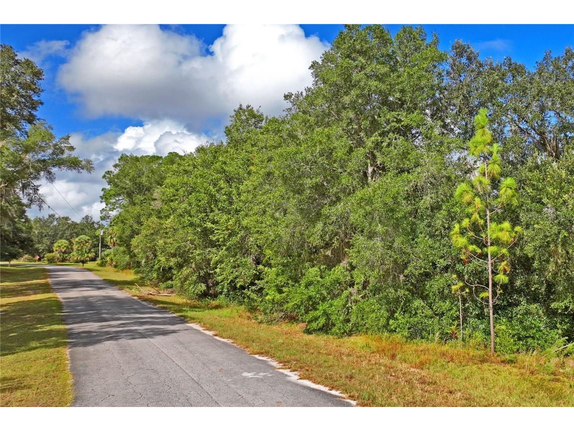 6720 N Paraqua Circle Crystal River FL 34428 W7879697 image1