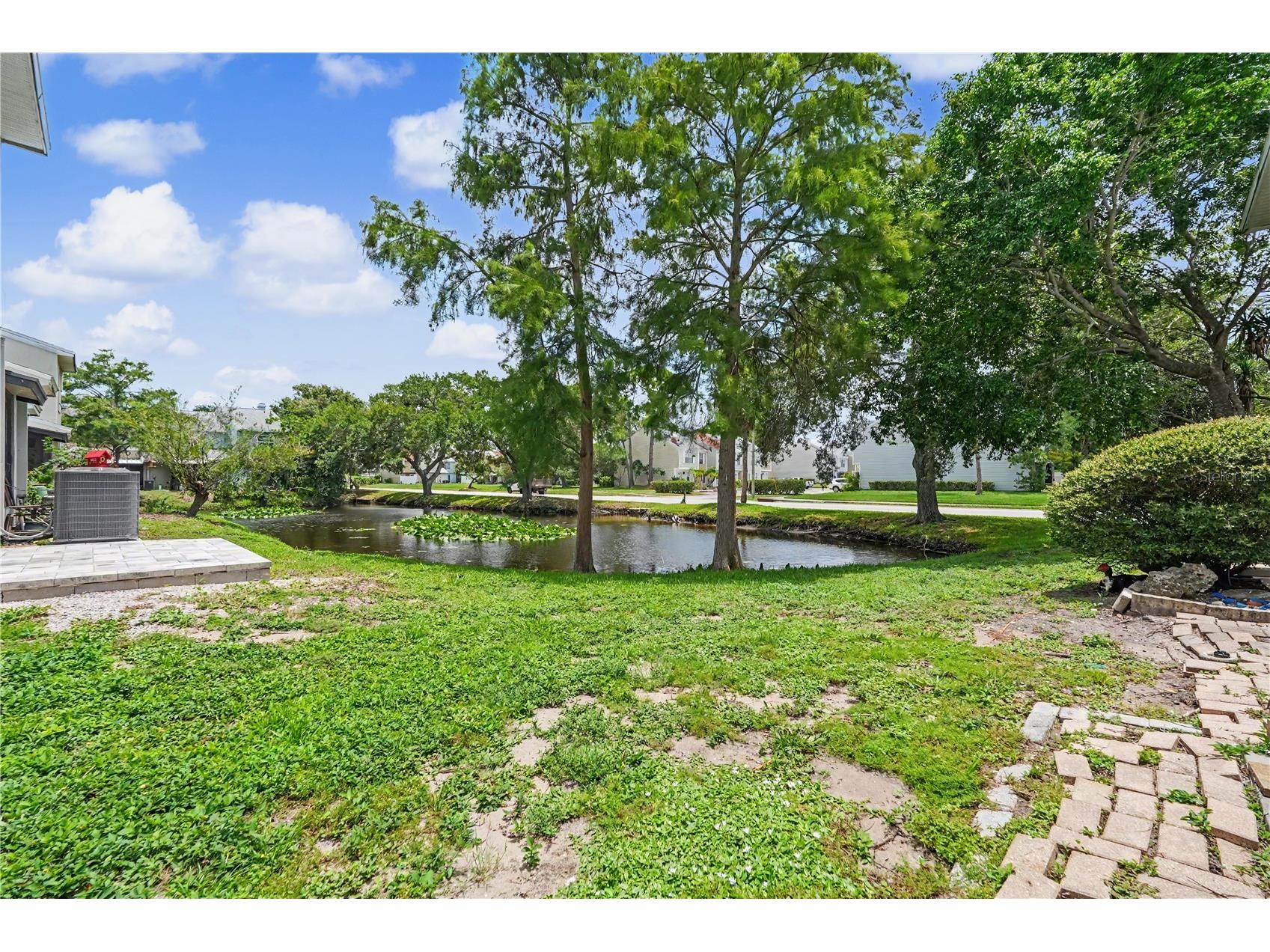 6721 121st Avenue #D Largo FL 33773 TB8529408 image6