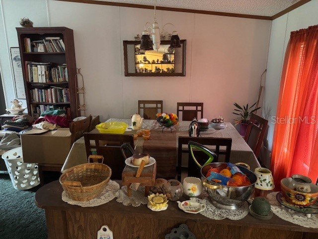 6721 Coronet Road Lakeland FL 33811 P4935070 image11