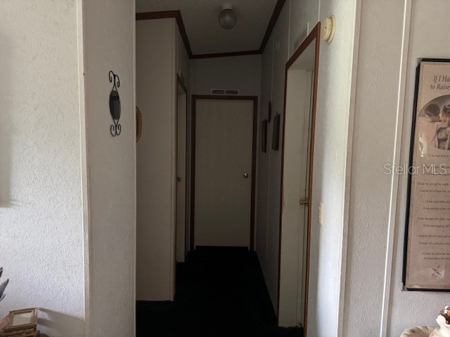 6721 Coronet Road Lakeland FL 33811 P4935070 image20