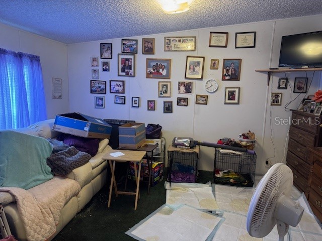 6721 Coronet Road Lakeland FL 33811 P4935070 image27