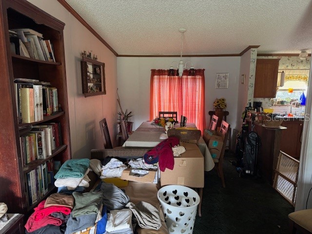 6721 Coronet Road Lakeland FL 33811 P4935070 image5