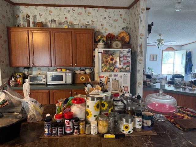 6721 Coronet Road Lakeland FL 33811 P4935070 image7