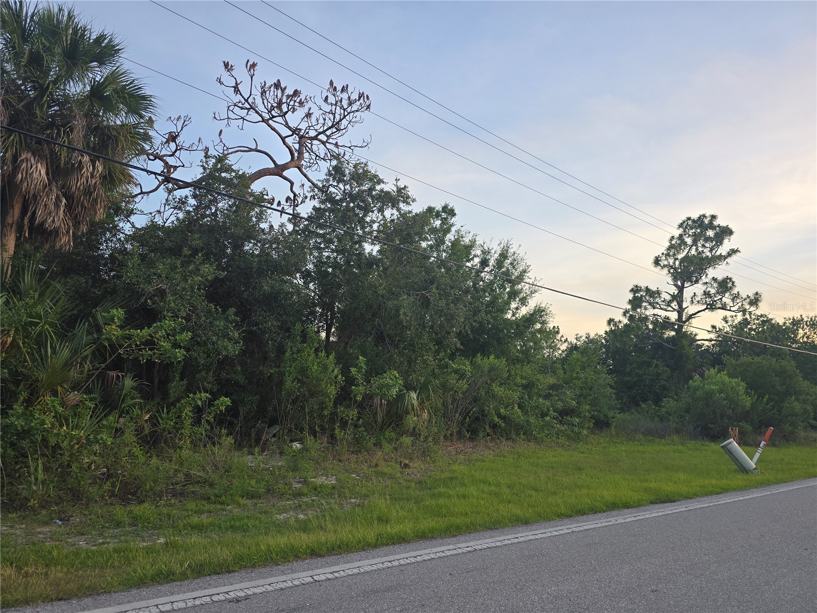 6721 Riverside Drive Punta Gorda FL 33982 - PEACE RIVER D6147559 image2