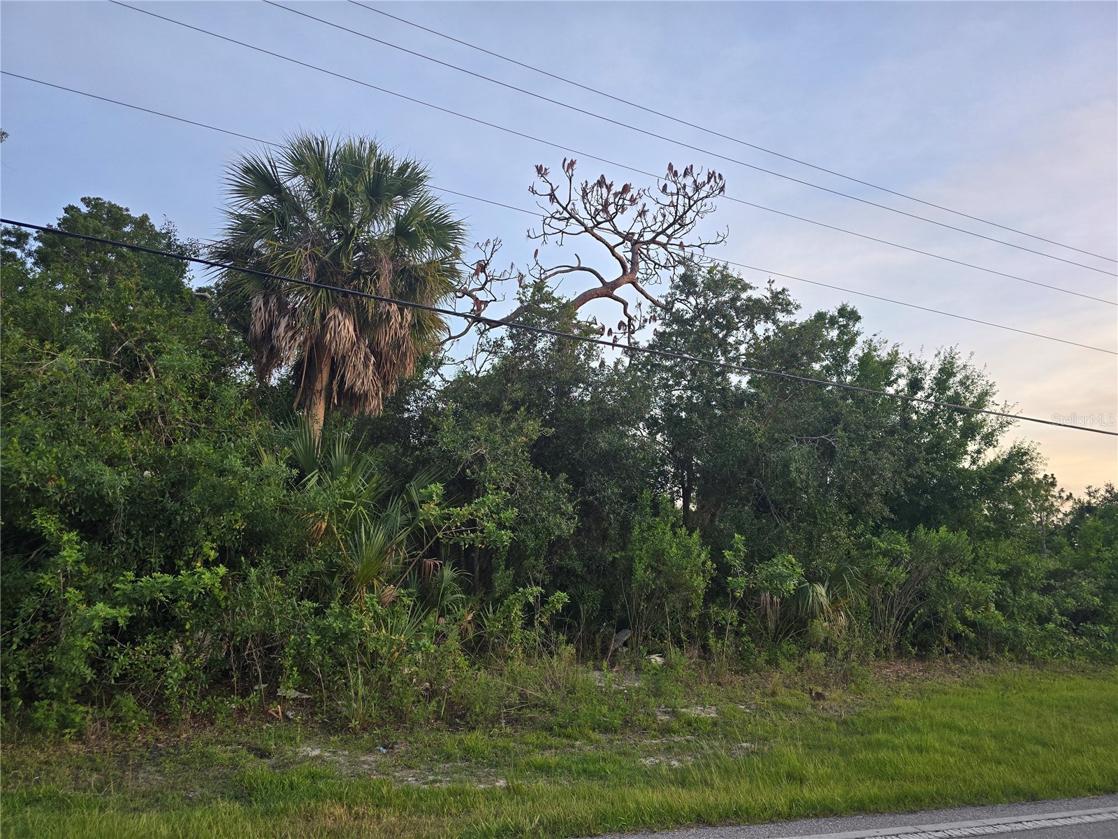 6721 Riverside Drive Punta Gorda FL 33982 - PEACE RIVER D6147559 image4