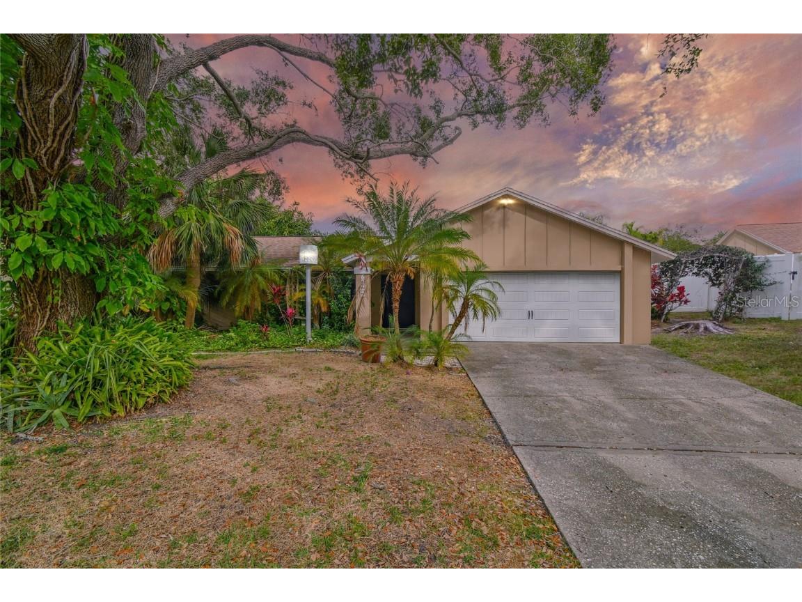 6722 Ranger Drive Tampa FL 33615 T3495120 image1