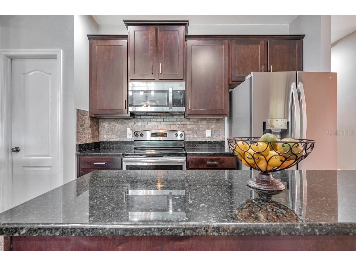 6722 Wild Elm Court Wesley Chapel FL 33545 O6342311 image17