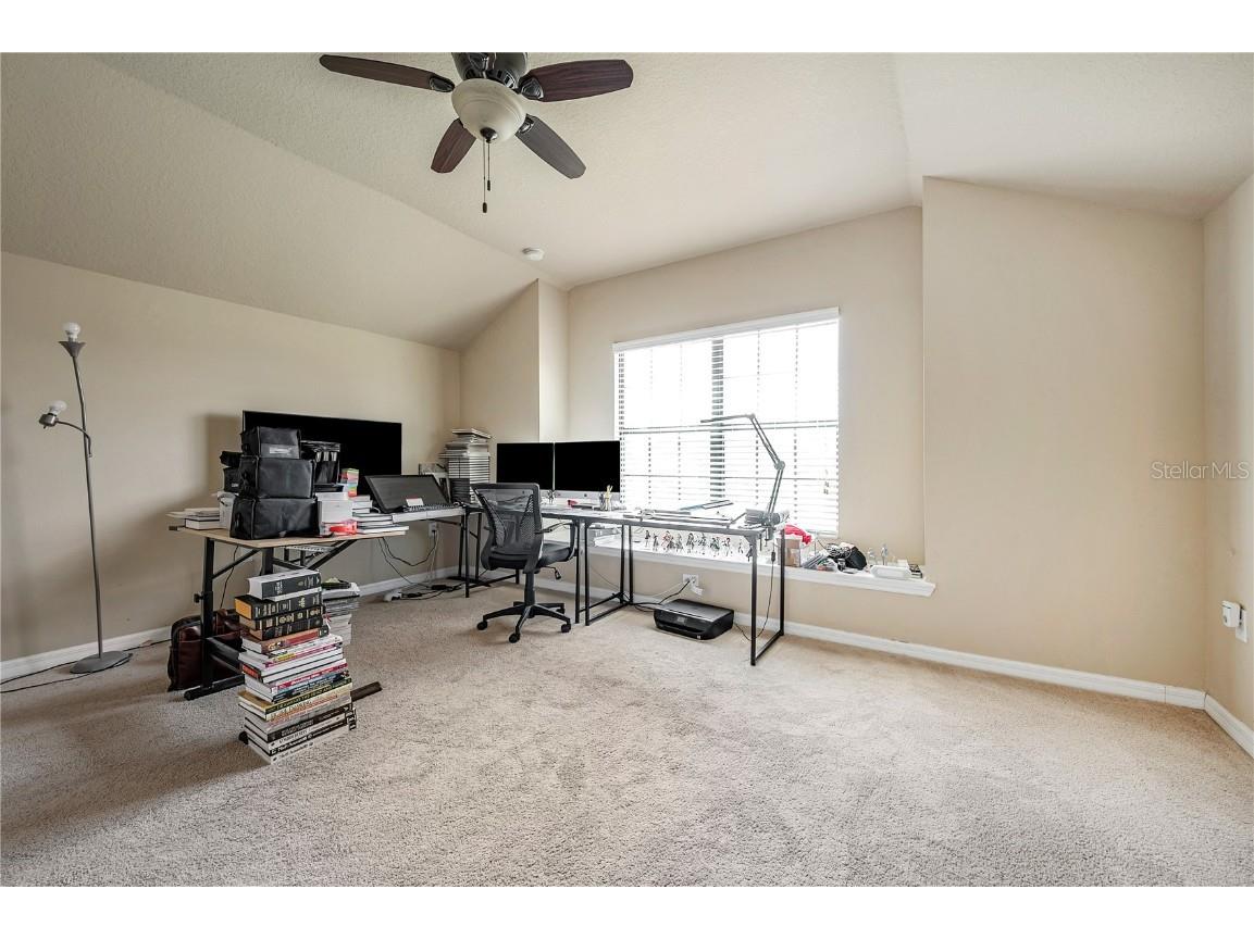 6722 Wild Elm Court Wesley Chapel FL 33545 O6342311 image40