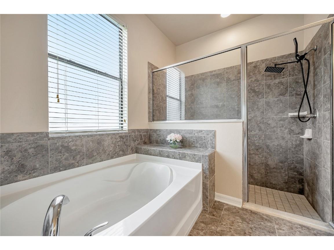 6722 Wild Elm Court Wesley Chapel FL 33545 O6342311 image43