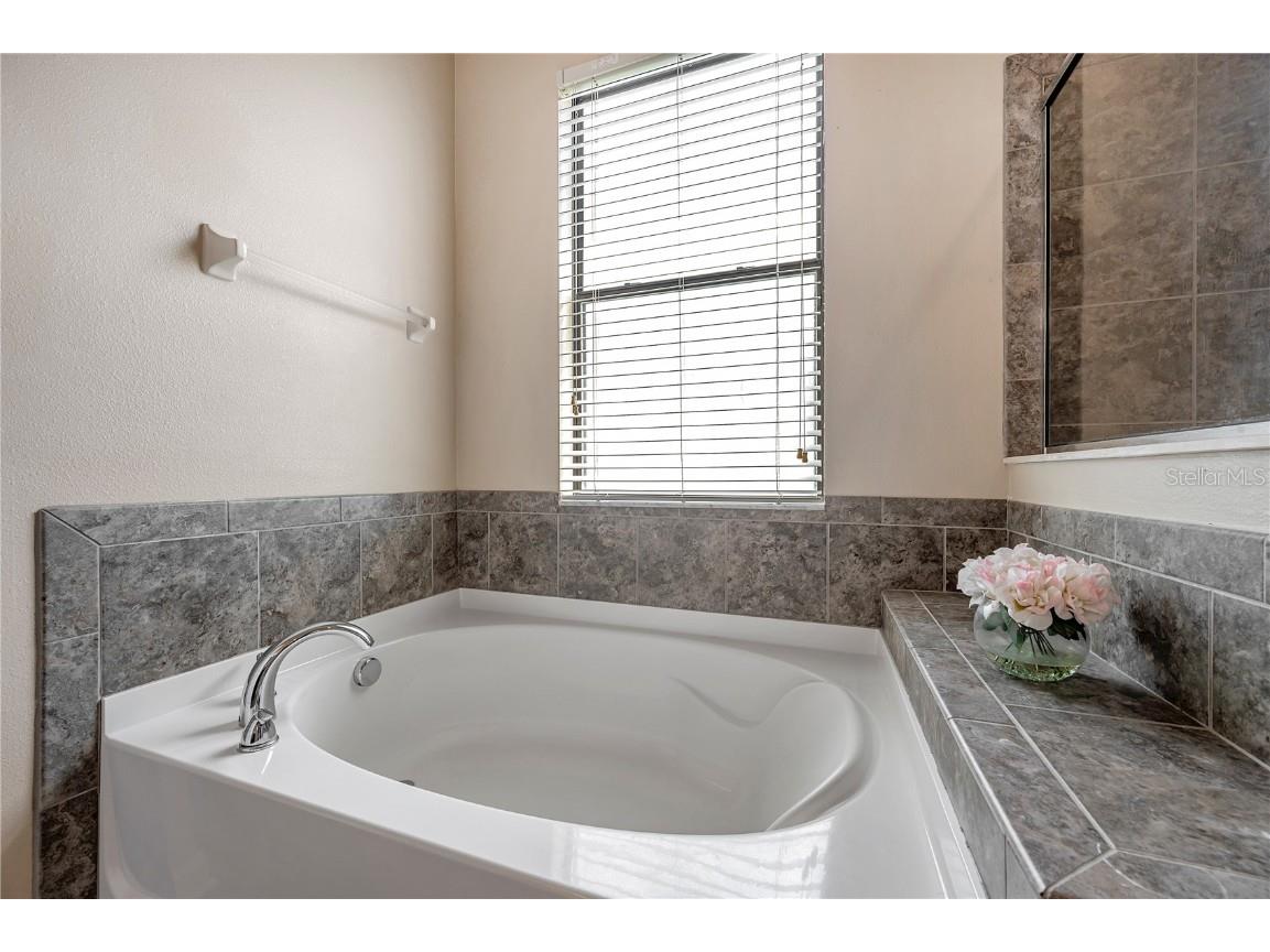 6722 Wild Elm Court Wesley Chapel FL 33545 O6342311 image45