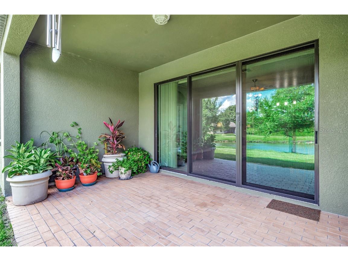 6722 Wild Elm Court Wesley Chapel FL 33545 O6342311 image52