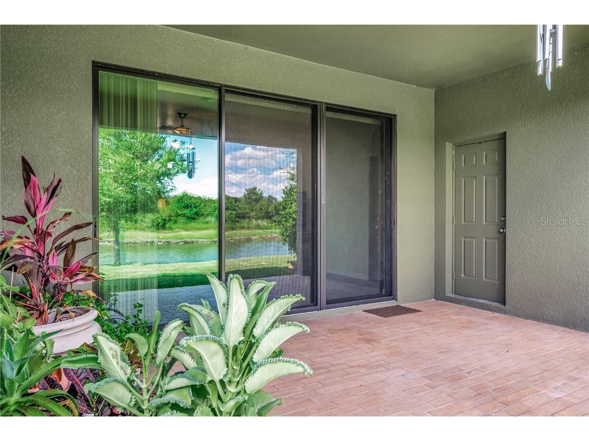 6722 Wild Elm Court Wesley Chapel FL 33545 O6342311 image53