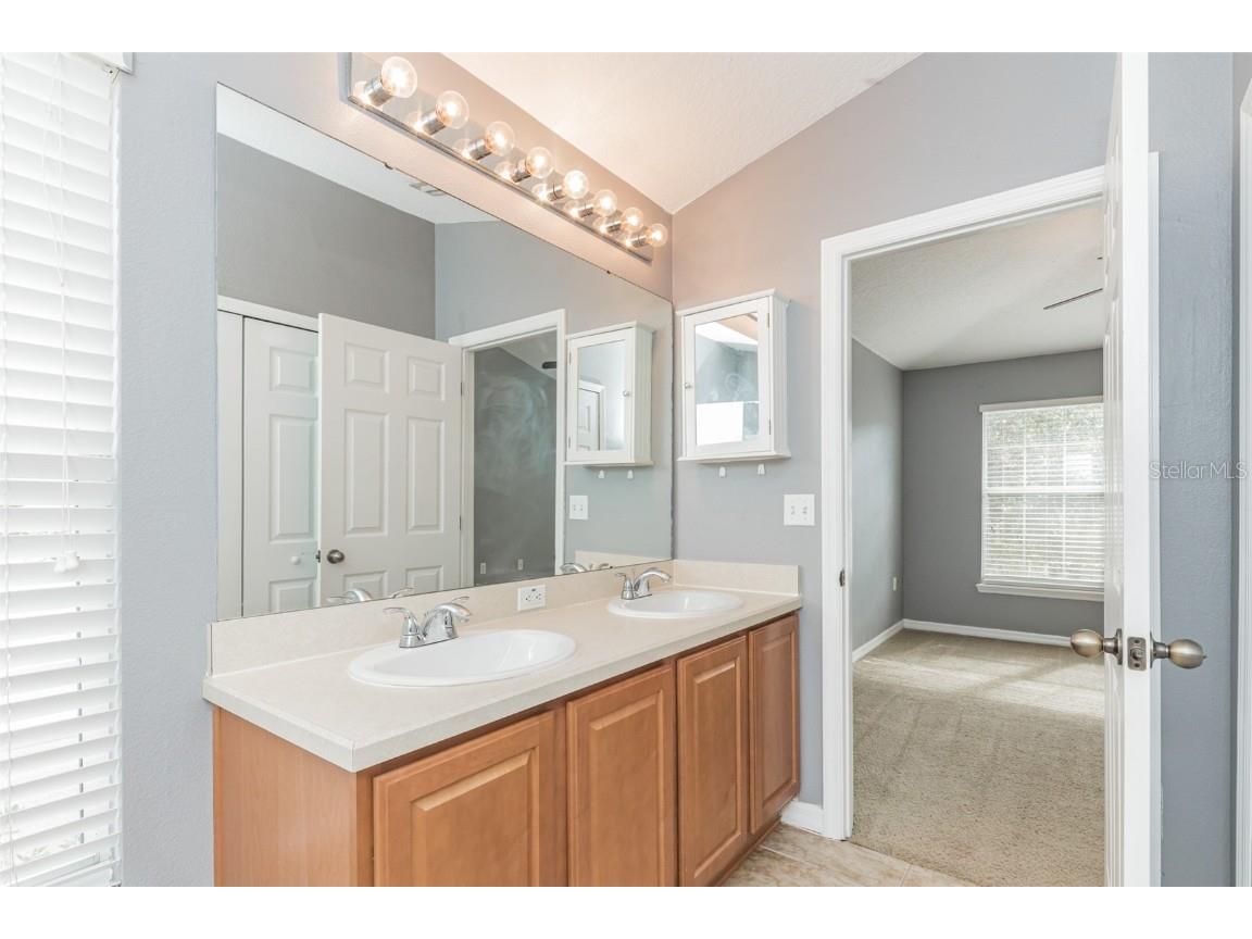 6723 Breezy Palm Drive Riverview FL 33578 TB8424734 image12