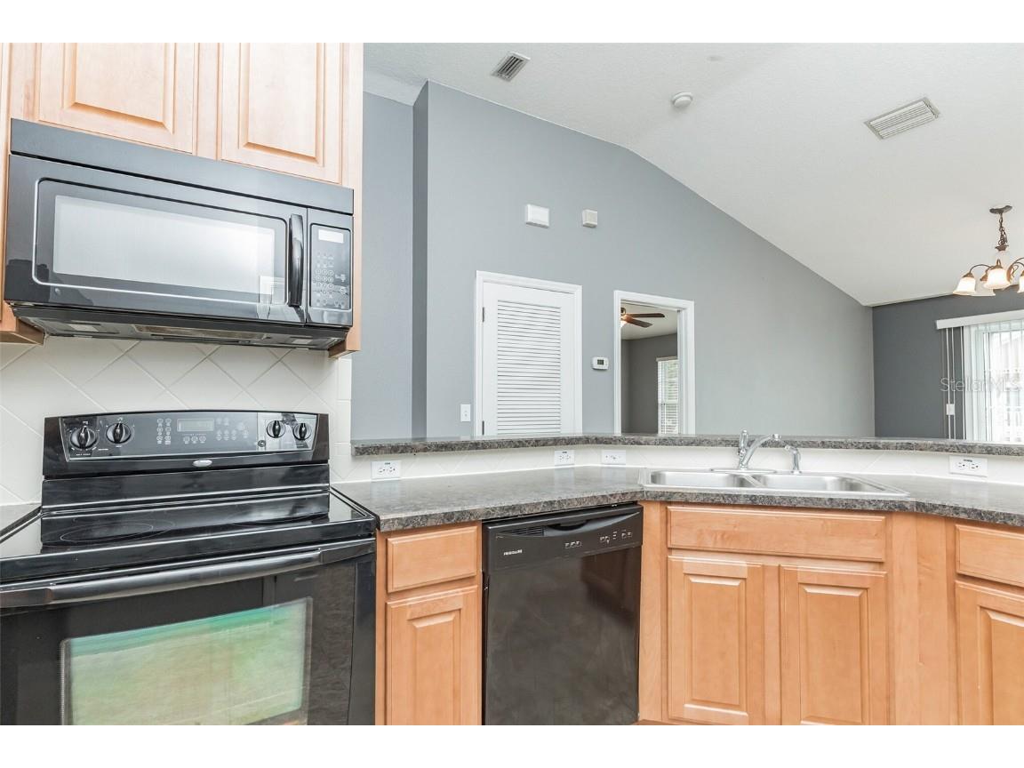 6723 Breezy Palm Drive Riverview FL 33578 TB8424734 image6