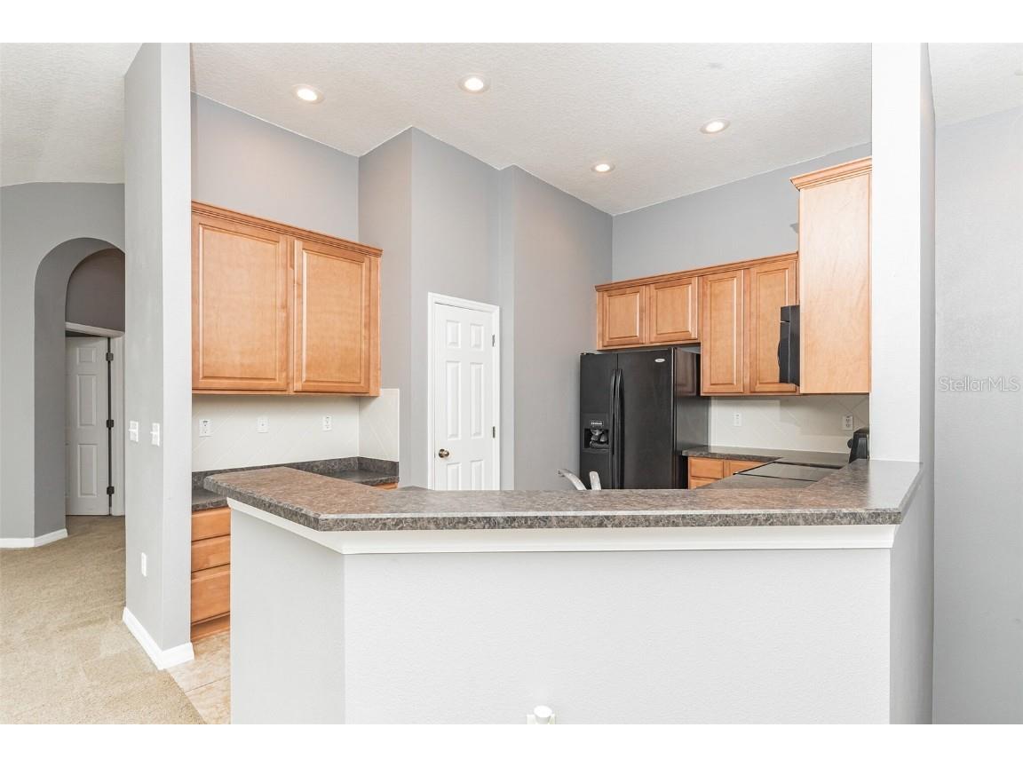 6723 Breezy Palm Drive Riverview FL 33578 TB8424734 image8