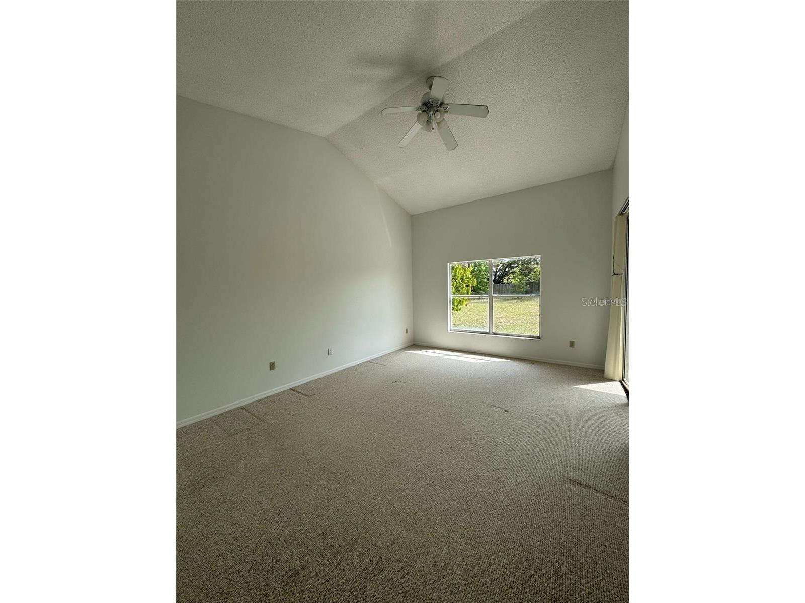 6724 Callie Road Orlando FL 32818 O6412578 image15