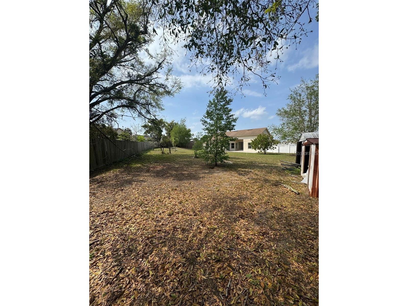 6724 Callie Road Orlando FL 32818 O6412578 image24