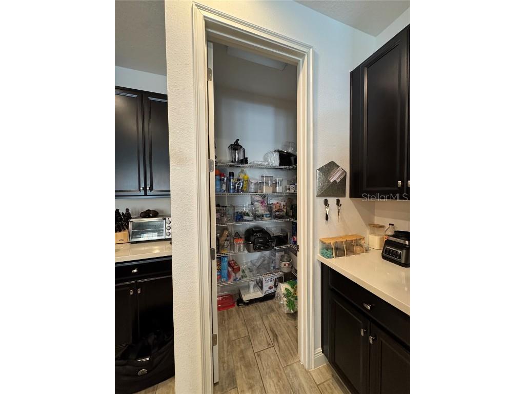 6725 Marmalade Alley Winter Garden FL 34787 S5139516 image12