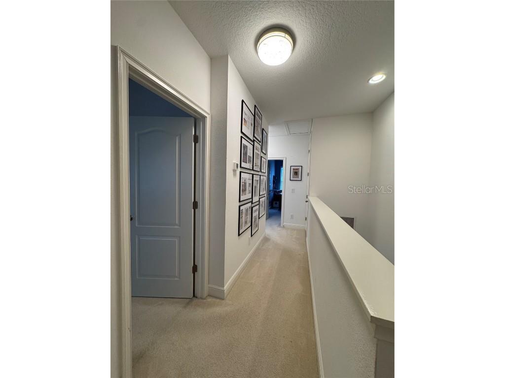 6725 Marmalade Alley Winter Garden FL 34787 S5139516 image16