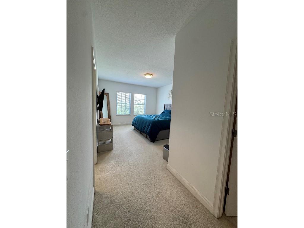 6725 Marmalade Alley Winter Garden FL 34787 S5139516 image17