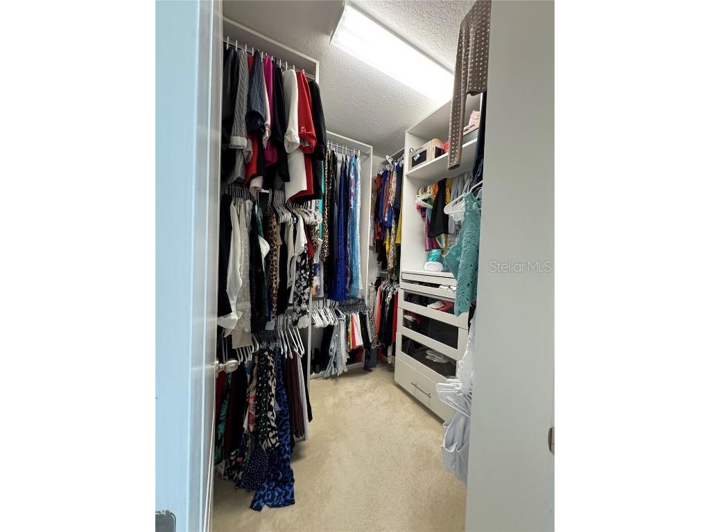 6725 Marmalade Alley Winter Garden FL 34787 S5139516 image21