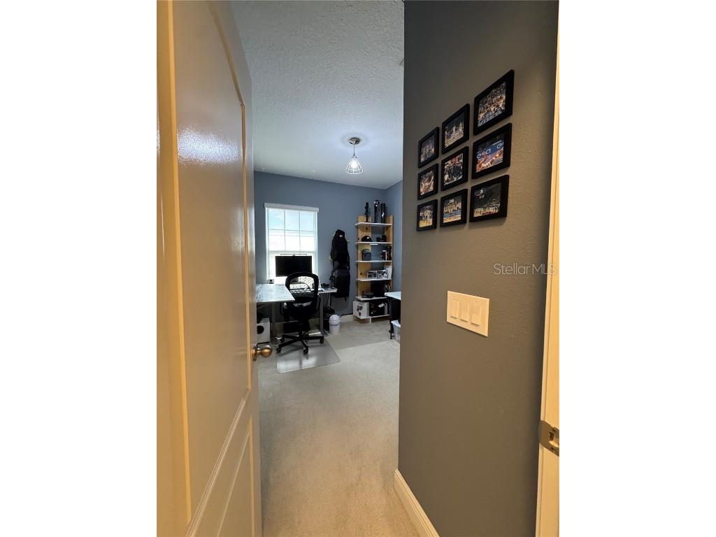 6725 Marmalade Alley Winter Garden FL 34787 S5139516 image24