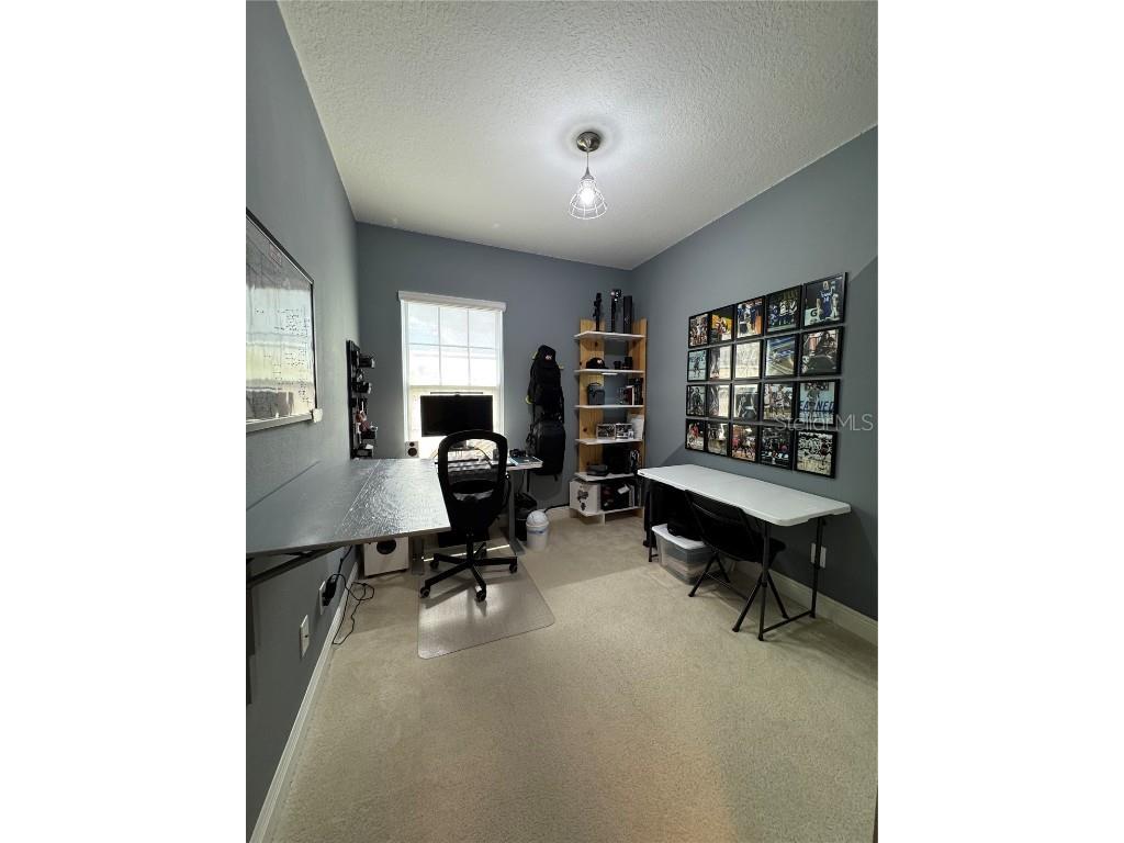 6725 Marmalade Alley Winter Garden FL 34787 S5139516 image25