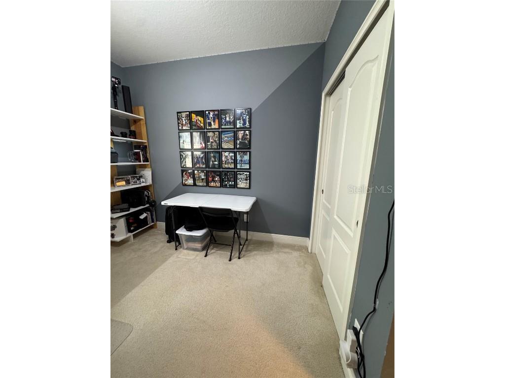 6725 Marmalade Alley Winter Garden FL 34787 S5139516 image26