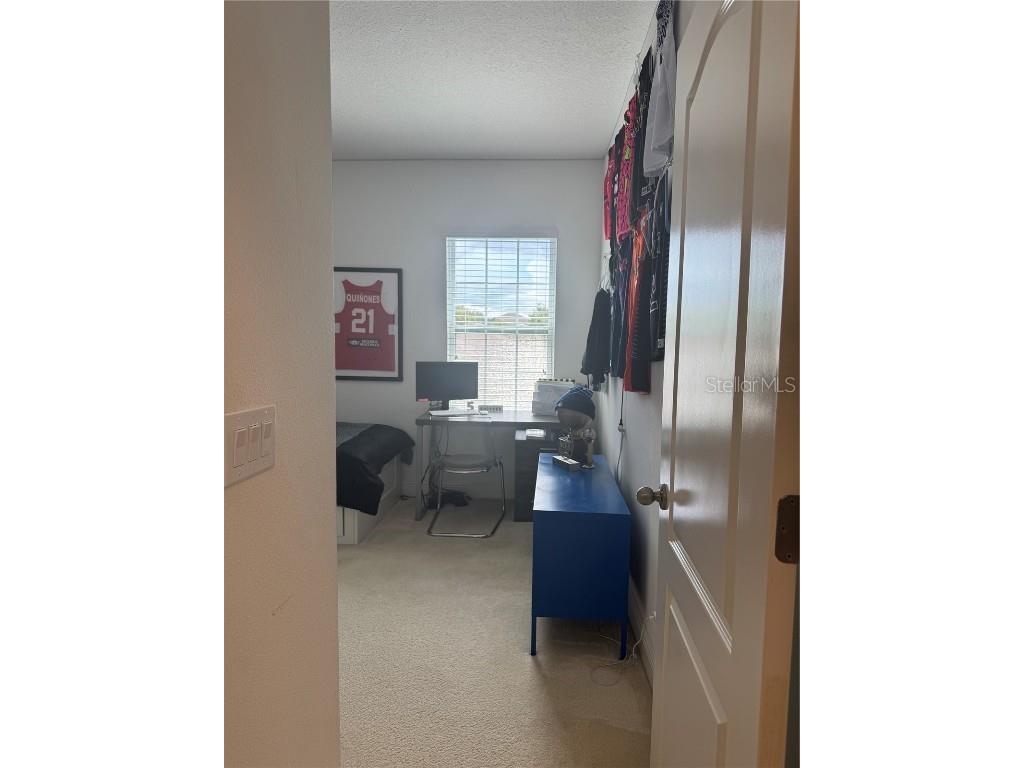 6725 Marmalade Alley Winter Garden FL 34787 S5139516 image28