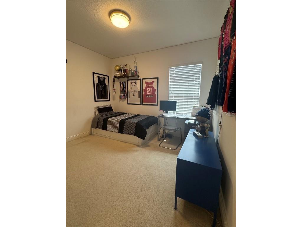 6725 Marmalade Alley Winter Garden FL 34787 S5139516 image29