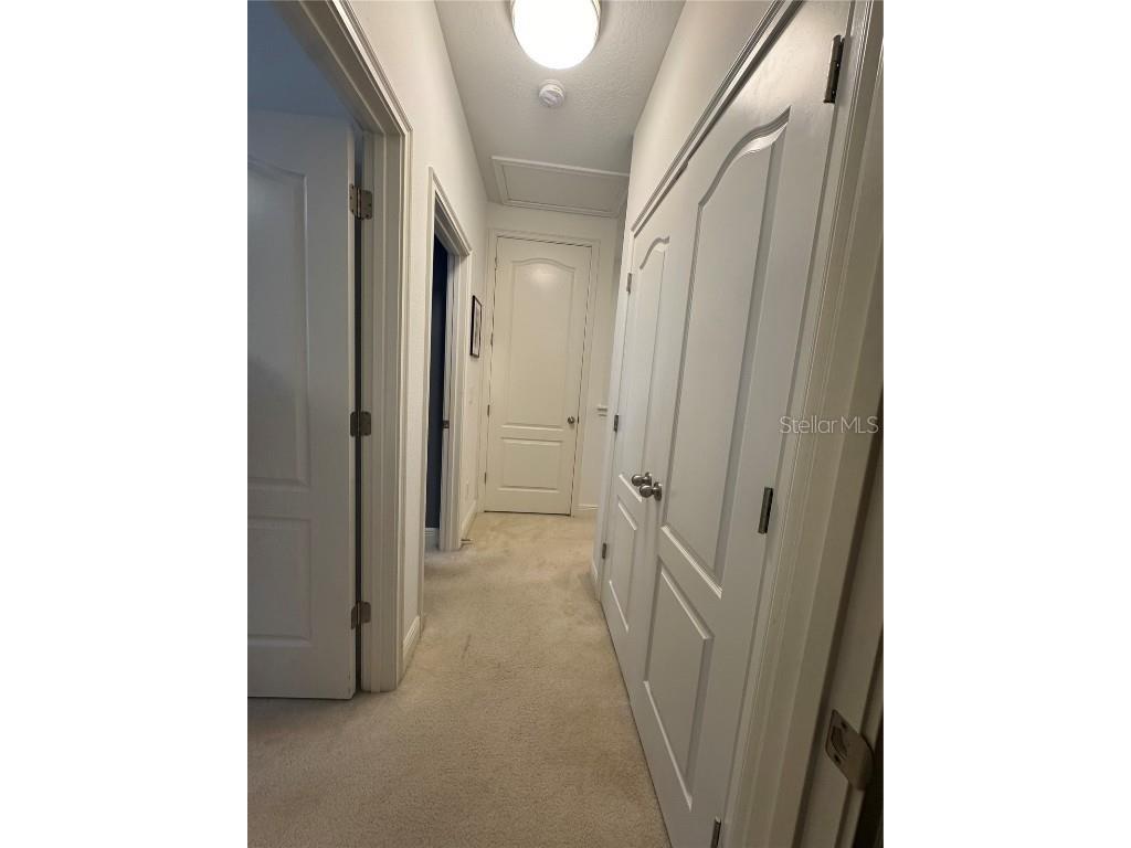 6725 Marmalade Alley Winter Garden FL 34787 S5139516 image33