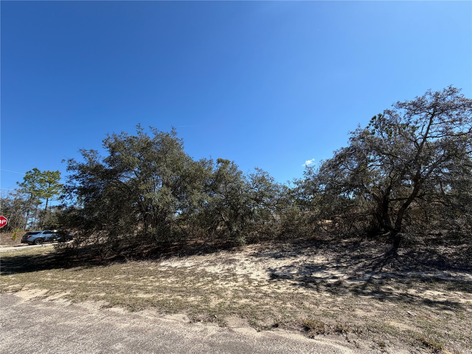 6725 N Killinger Terrace Citrus Springs FL 34433 O6386848 image1