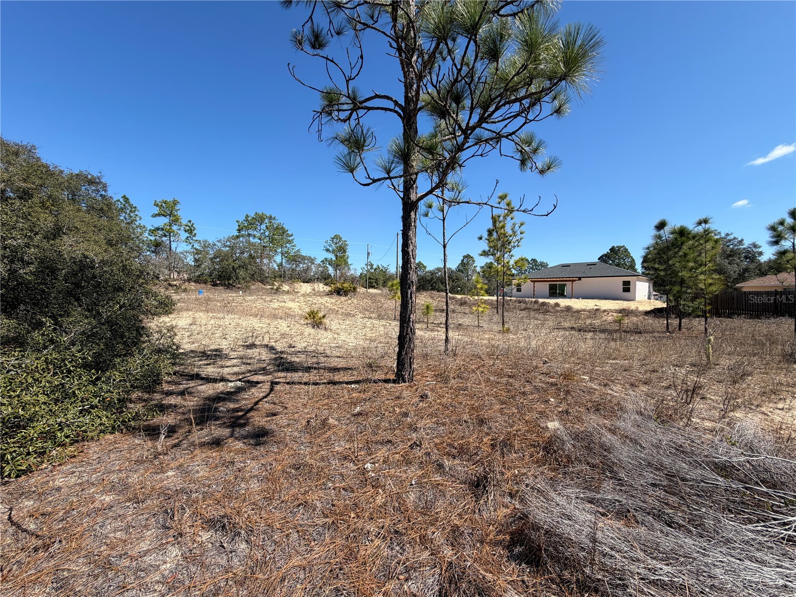 6725 N Killinger Terrace Citrus Springs FL 34433 O6386848 image2