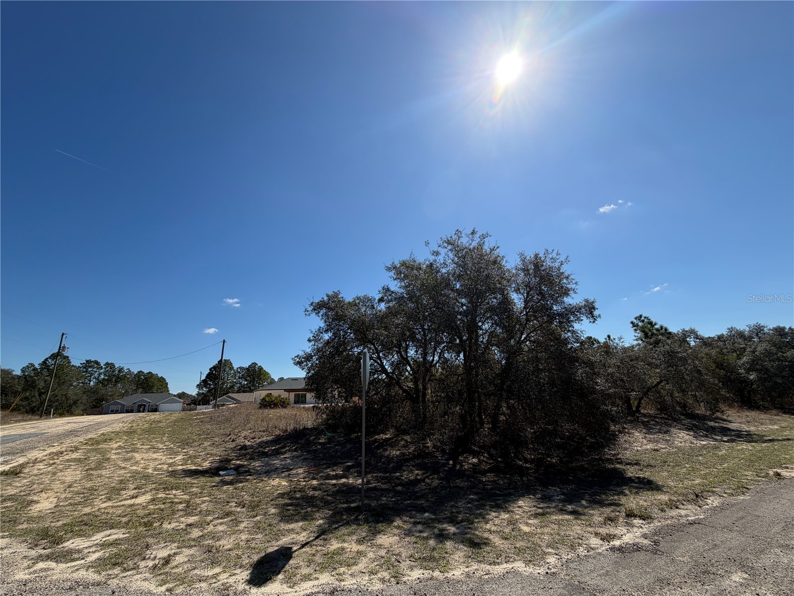 6725 N Killinger Terrace Citrus Springs FL 34433 O6386848 image3