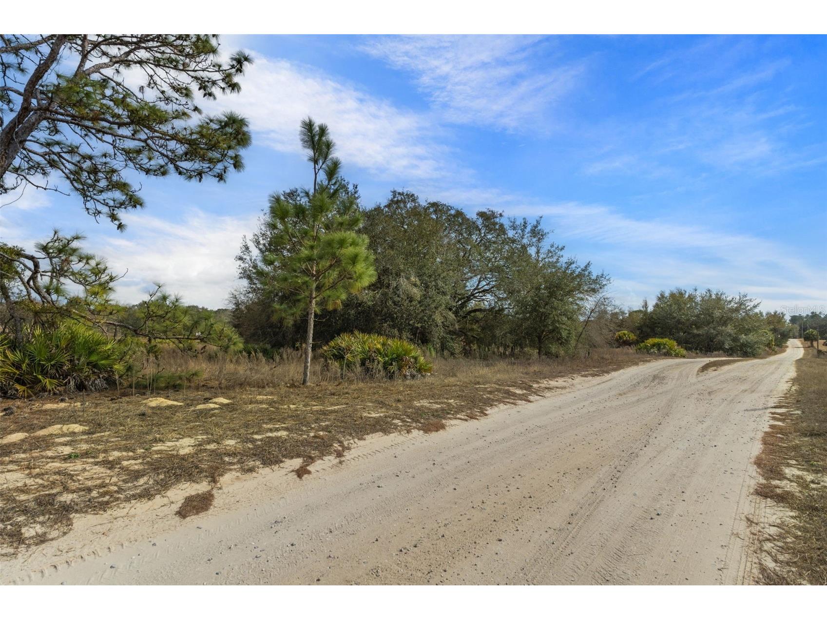 6725 S Rainbow Point Homosassa FL 34446 OM718653 image23