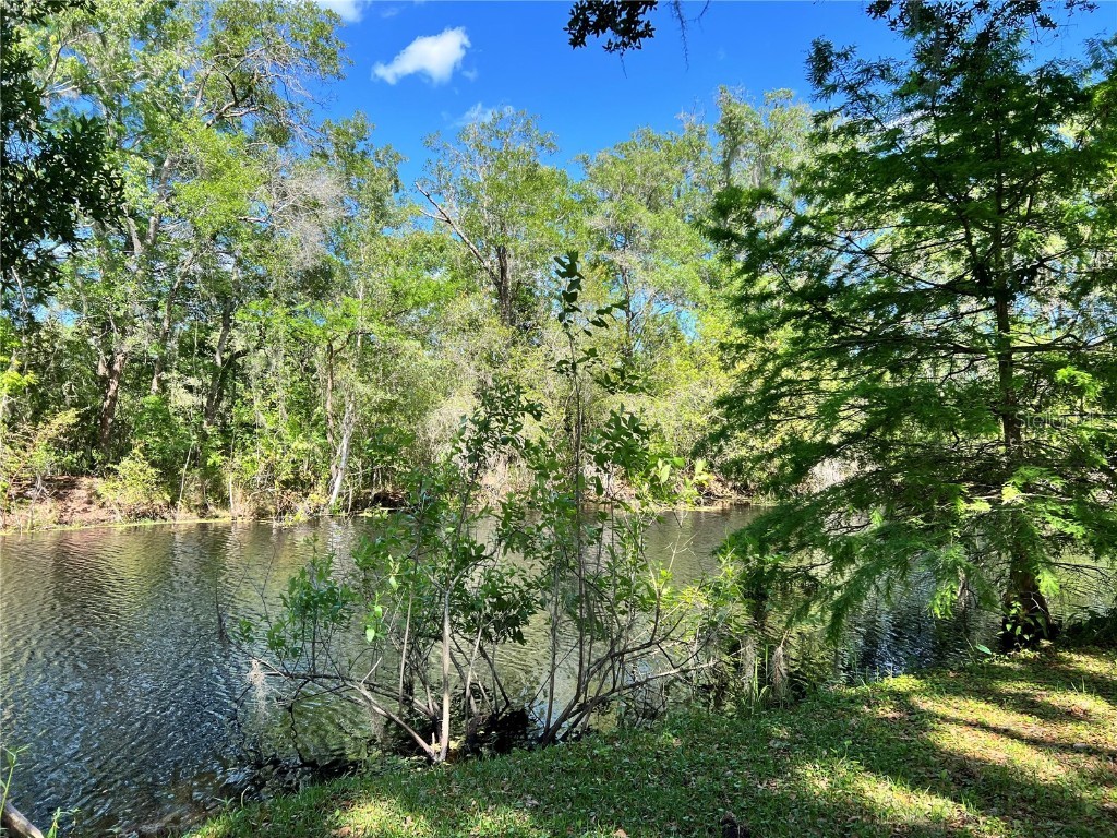 6725 S Whippoorwill Circle Floral City FL 34436 G5083041 image4