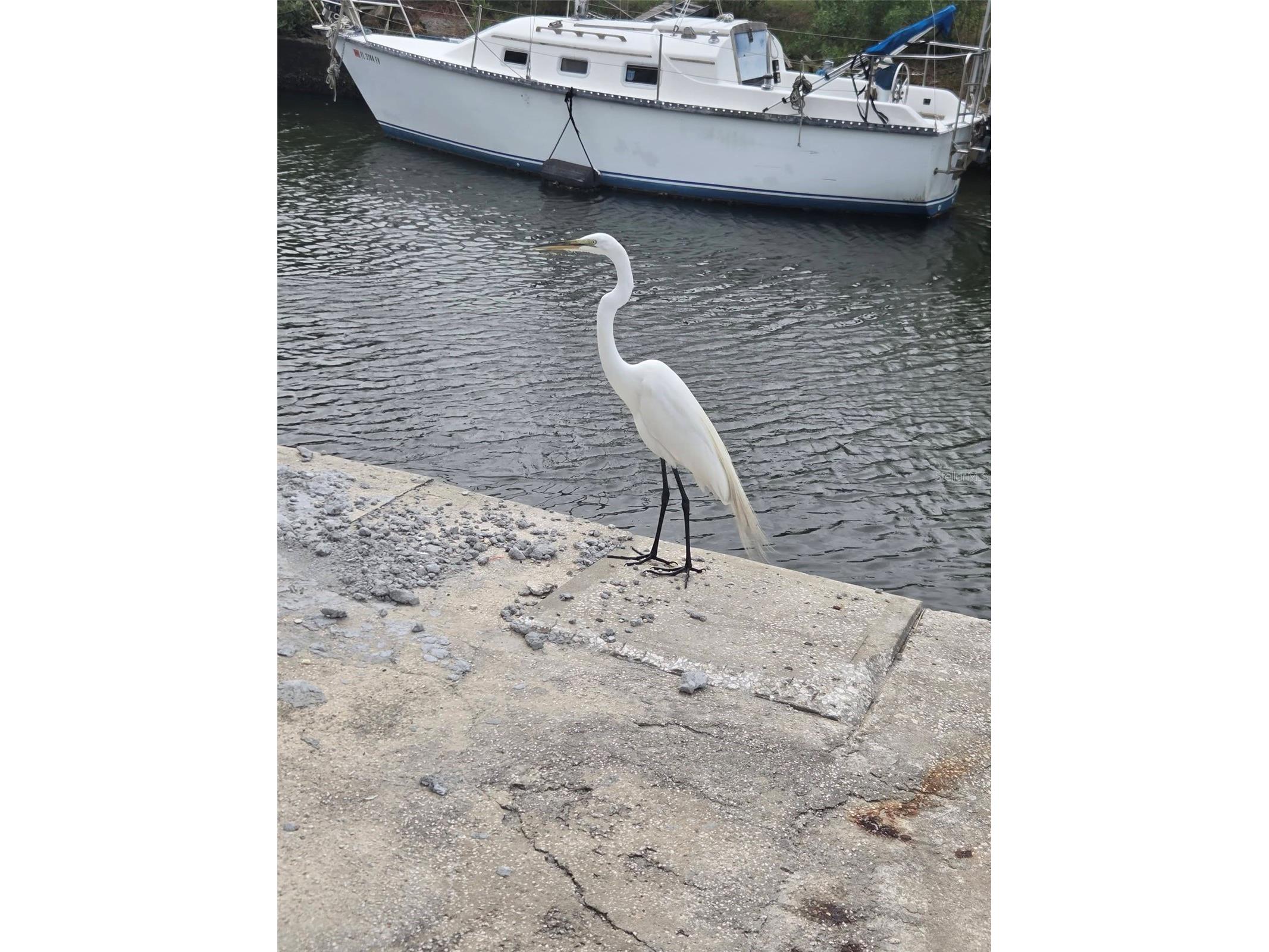 6726 Albatross Lane Hudson FL 34667 TB8497308 image26
