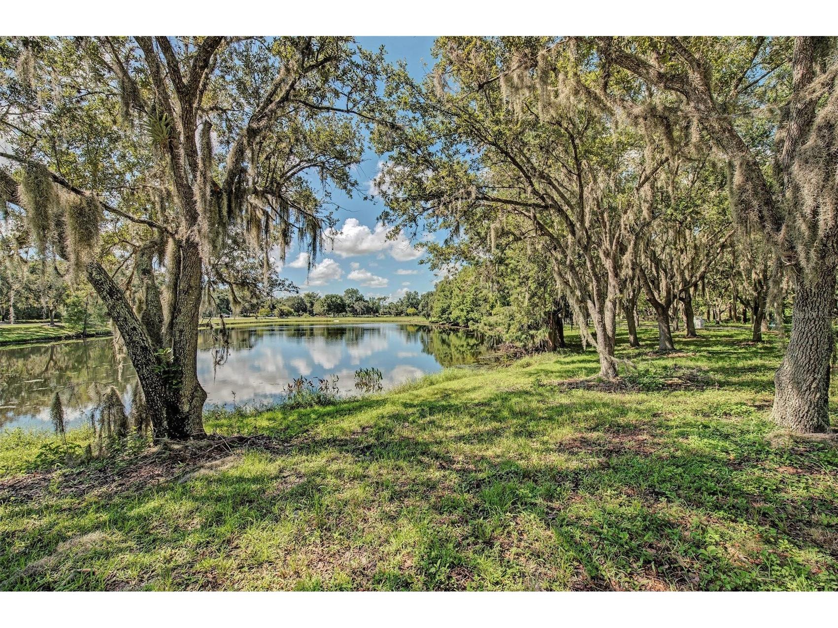 6726 Hickory Hammock Circle Bradenton FL 34202 A4682284 image46