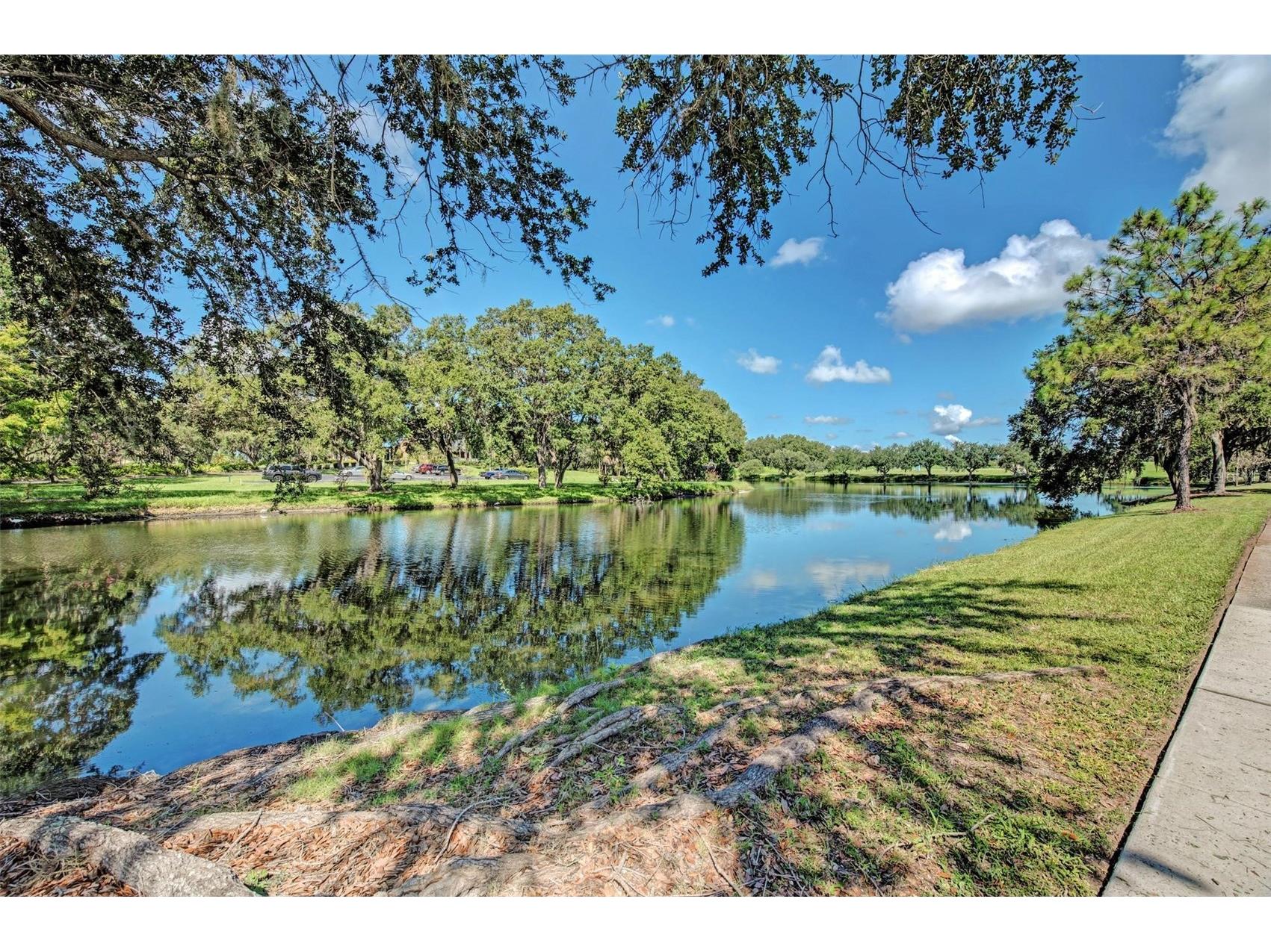 6726 Hickory Hammock Circle Bradenton FL 34202 A4682284 image49