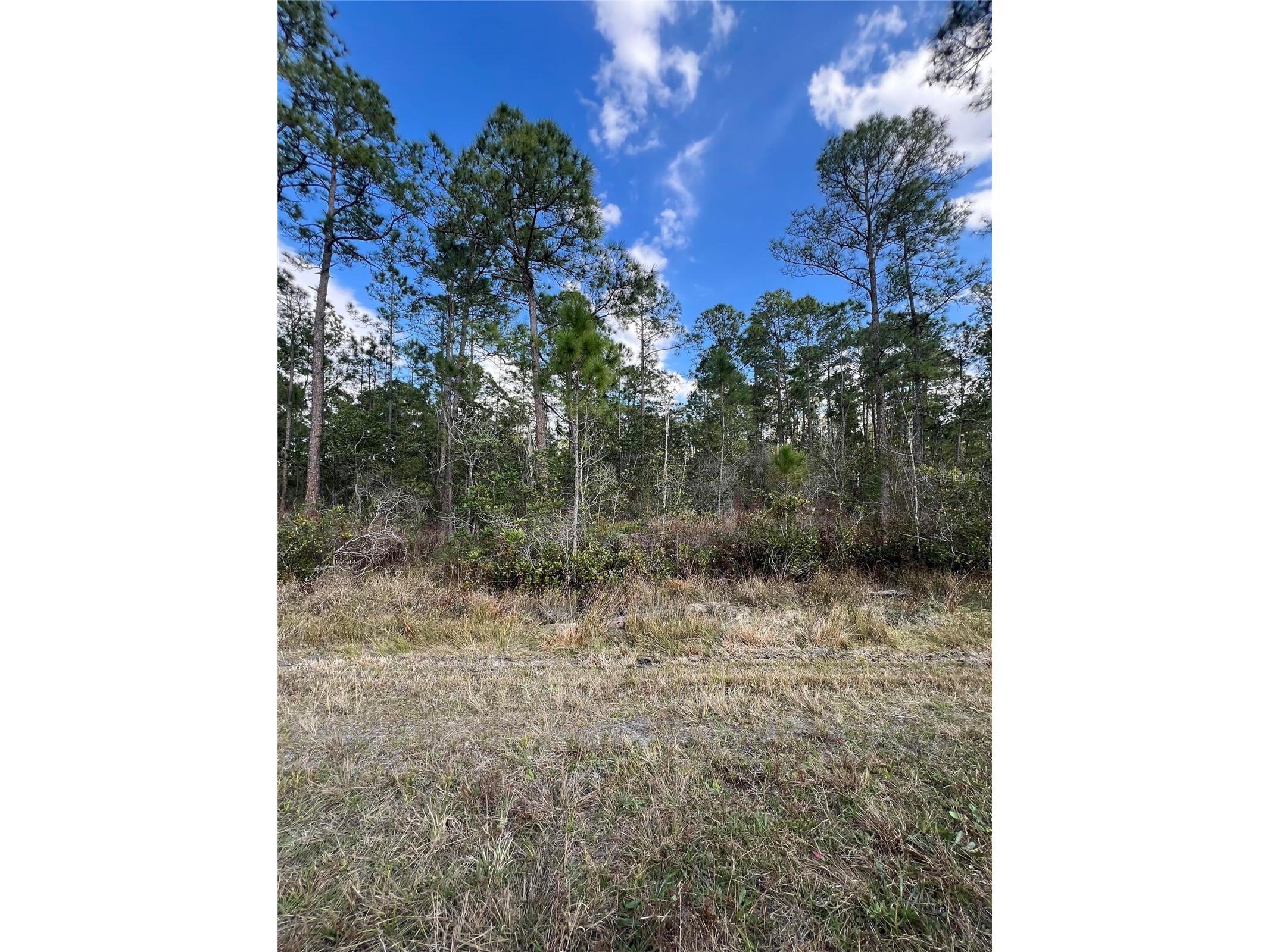 6727 Balboa Boulevard Sebring FL 33872 O6381491 image1