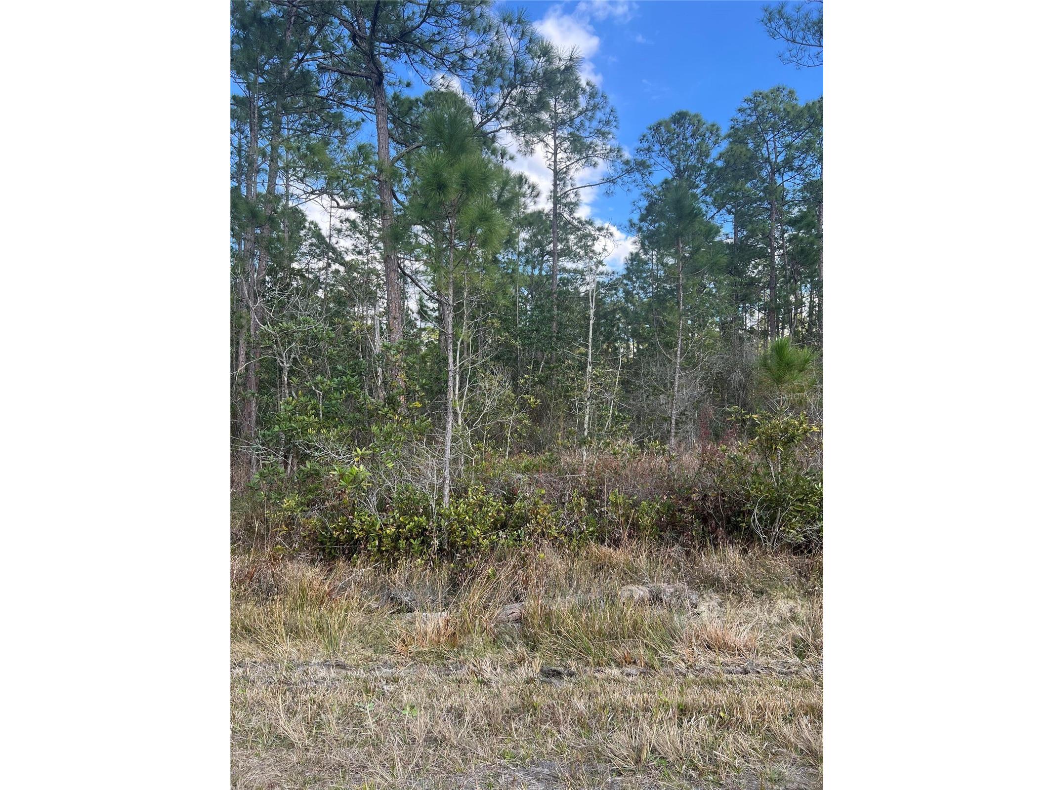 6727 Balboa Boulevard Sebring FL 33872 O6381491 image2