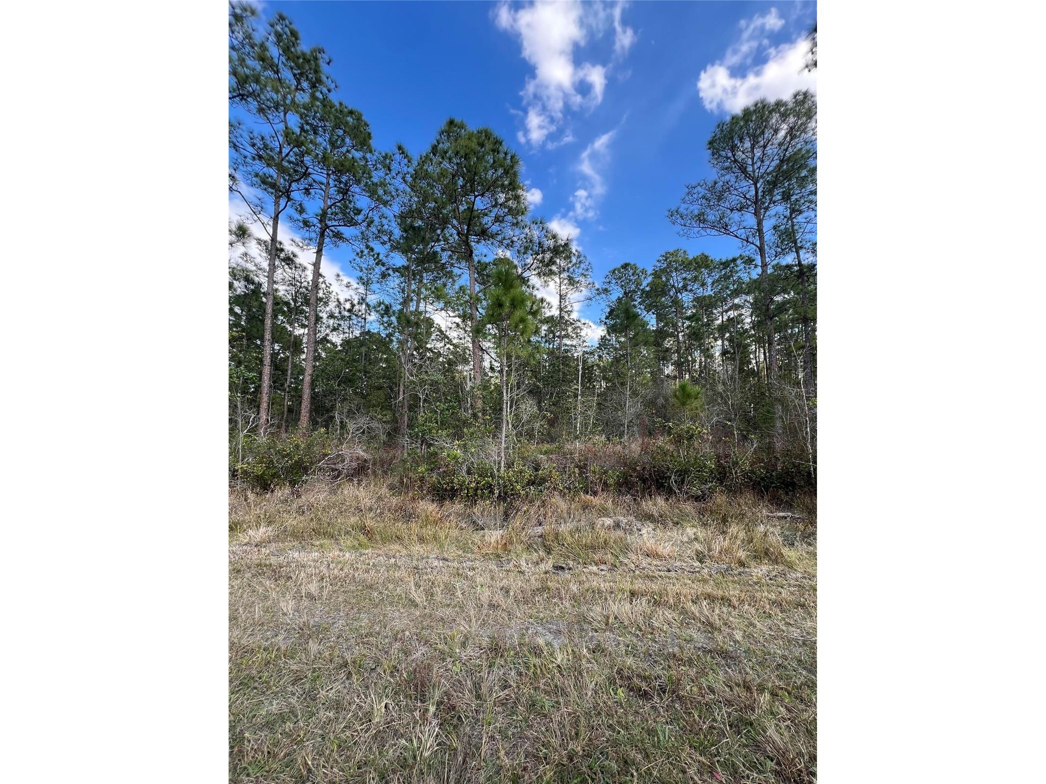 6727 Balboa Boulevard Sebring FL 33872 O6381491 image3