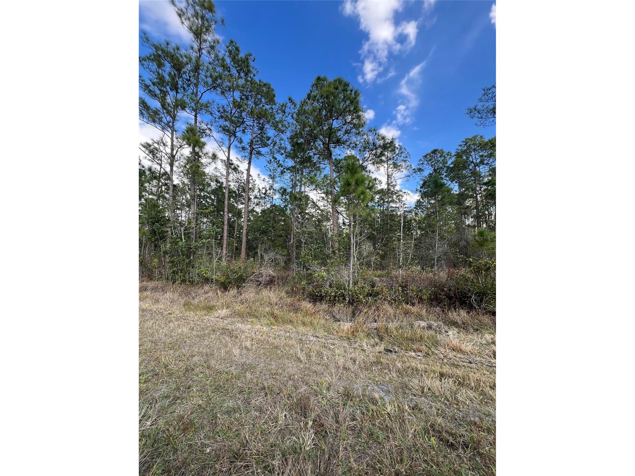 6727 Balboa Boulevard Sebring FL 33872 O6381491 image4