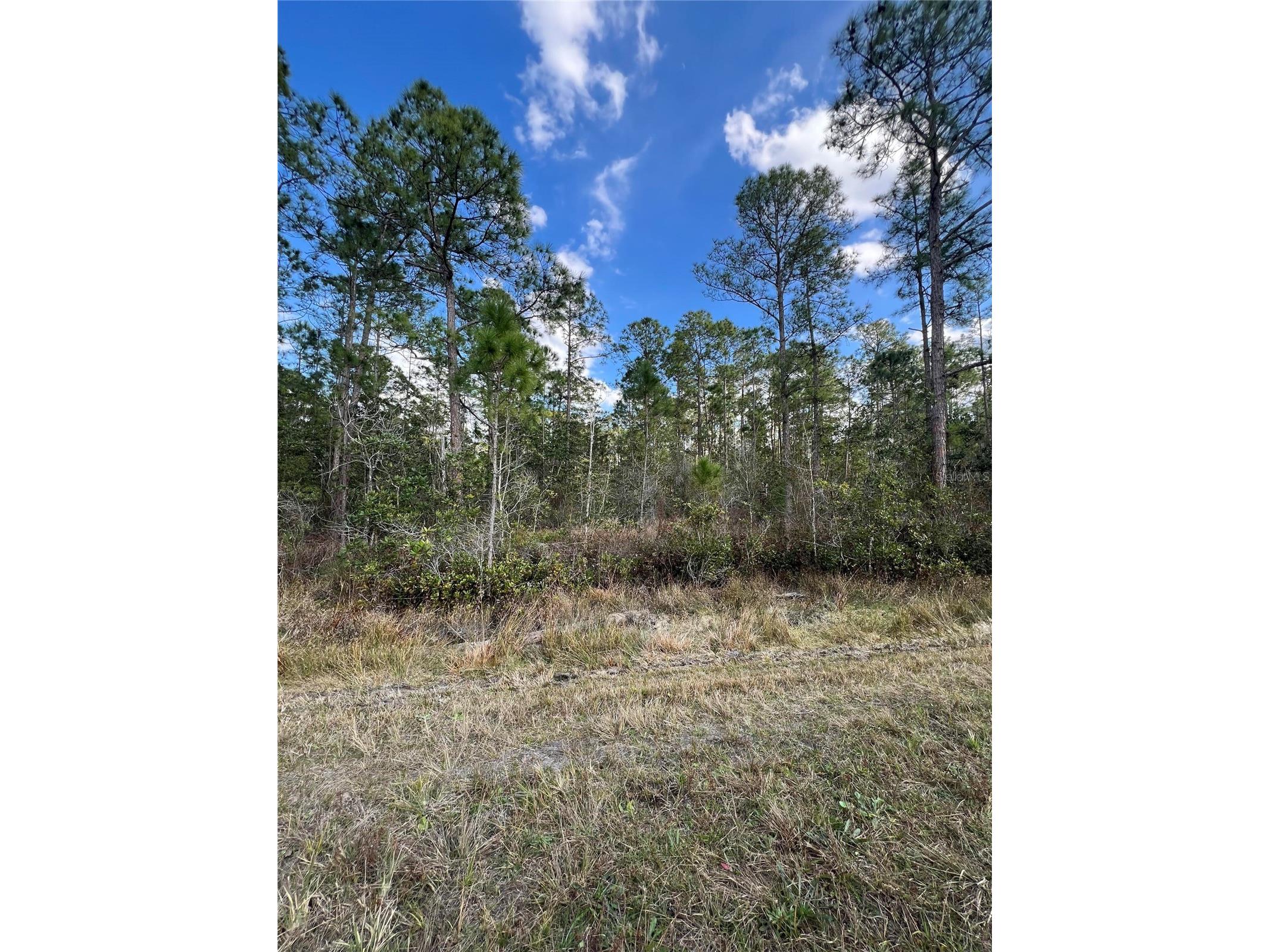 6727 Balboa Boulevard Sebring FL 33872 O6381491 image5